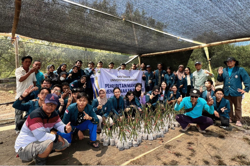 UNDIP Lakukan Terobosan Pembibitan Mangrove Menggunakan Teknologi Ramah Lingkungan. – Universitas Diponegoro